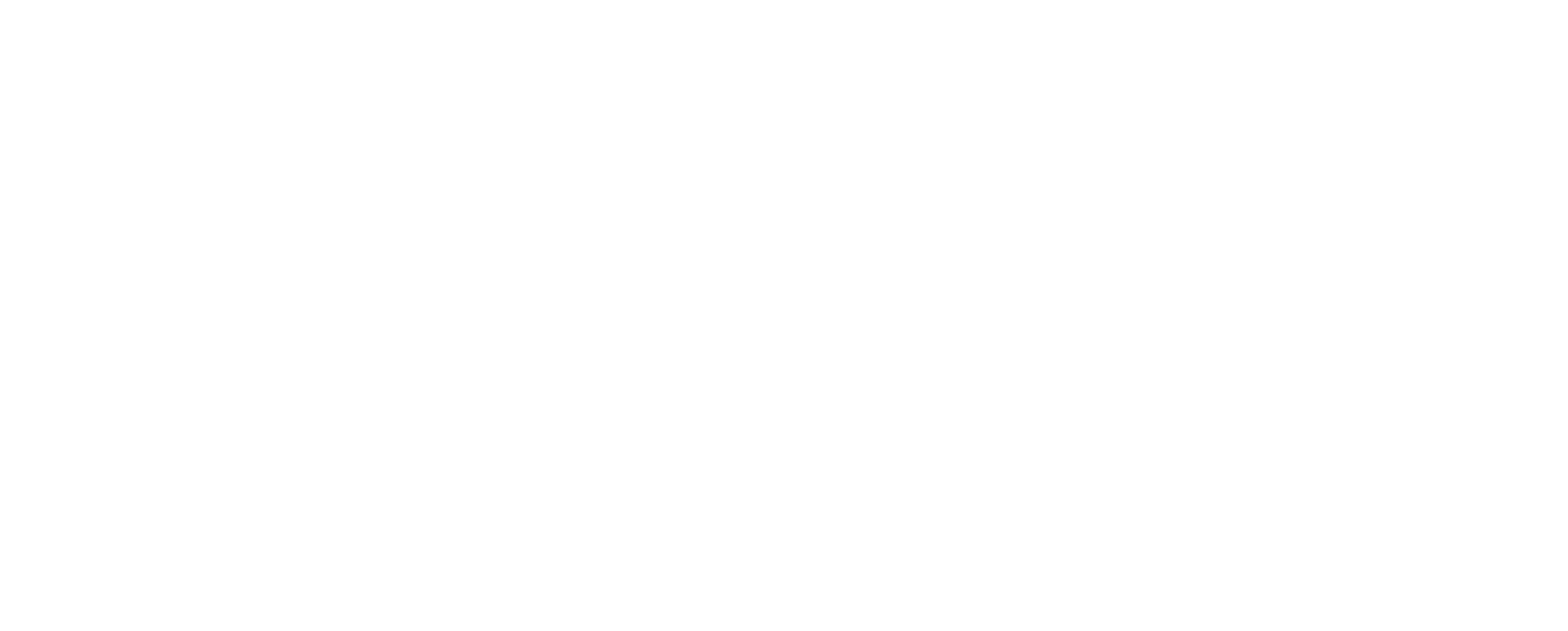 SKPI Aceh Logo